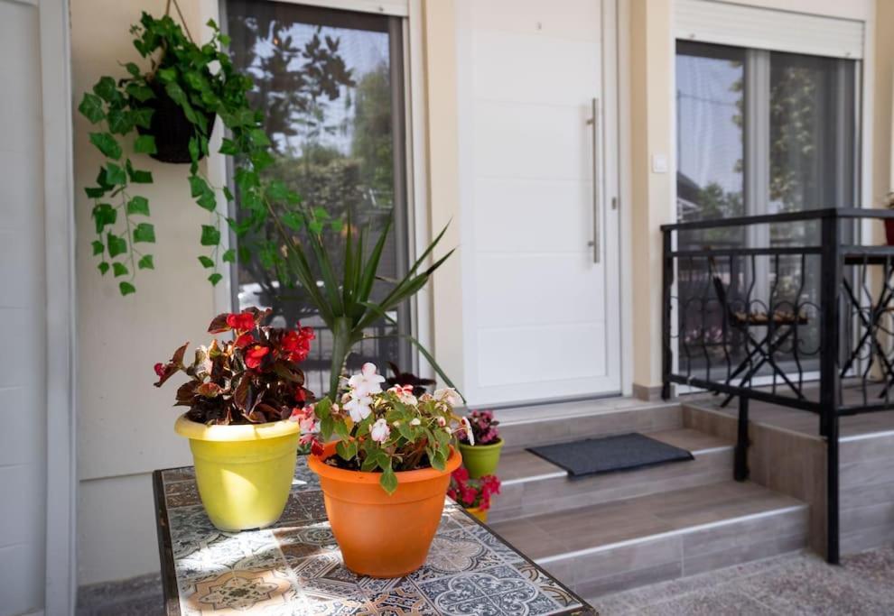 Elenis Cozy Apartment Larissa Ngoại thất bức ảnh